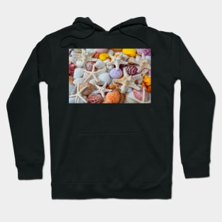 White Stars Still Life Hoodie